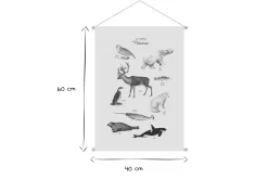 Discount Miliboo Kakemono infantil con ilustración de animales polares 40 x 60 cm POLAR